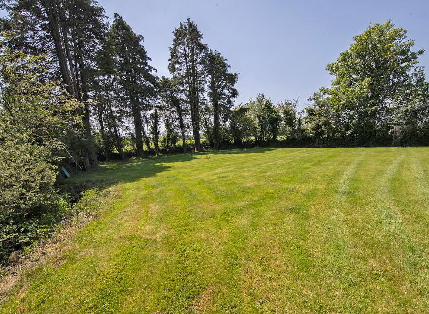 Graigue, Stradbally, Ballylaneen, X42DT20