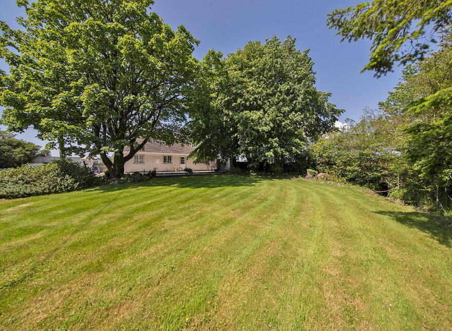 Graigue, Stradbally, Ballylaneen, X42DT20