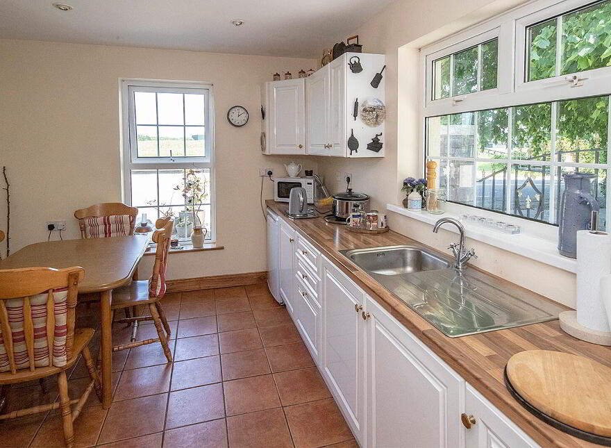 Graigue, Stradbally, Ballylaneen, X42DT20