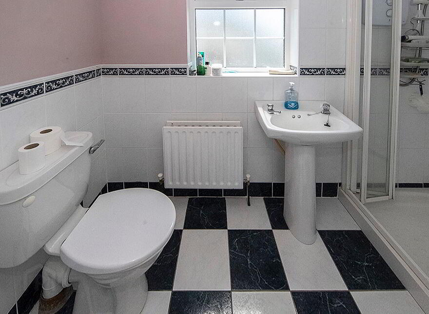 Graigue, Stradbally, Ballylaneen, X42DT20