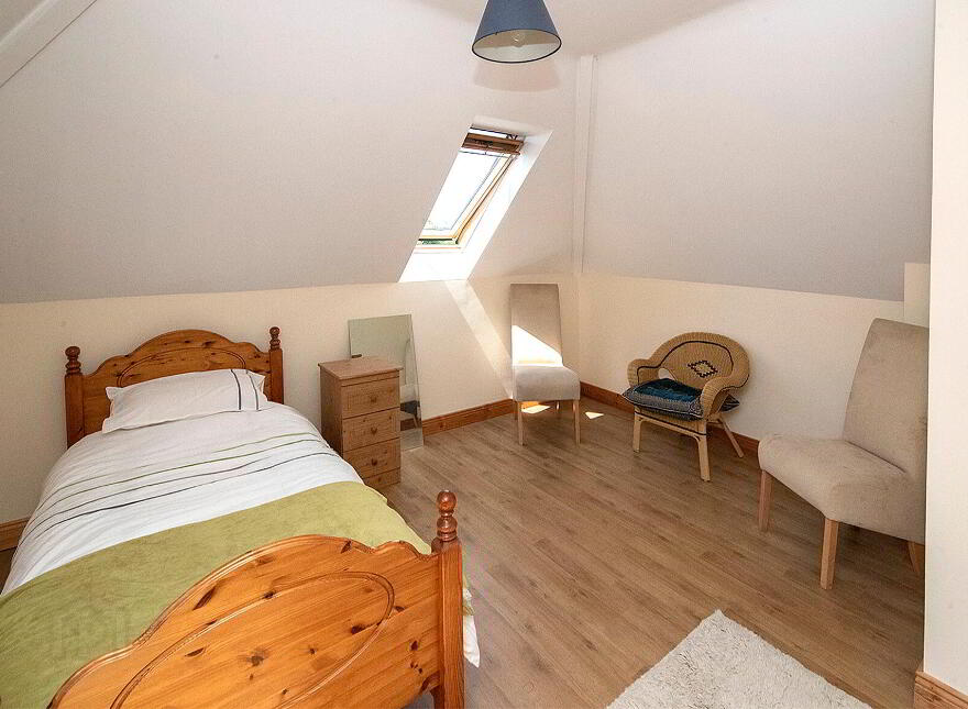 Graigue, Stradbally, Ballylaneen, X42DT20