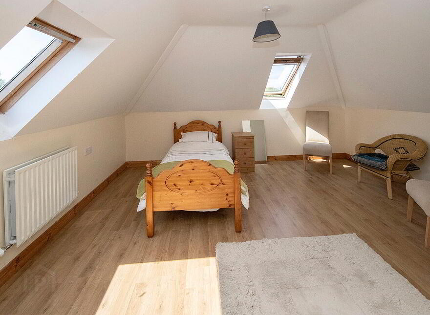 Graigue, Stradbally, Ballylaneen, X42DT20