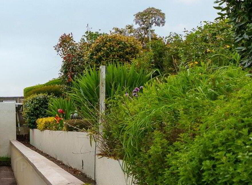 Cliona, Curraheen, Carrigrohane, T12T65E