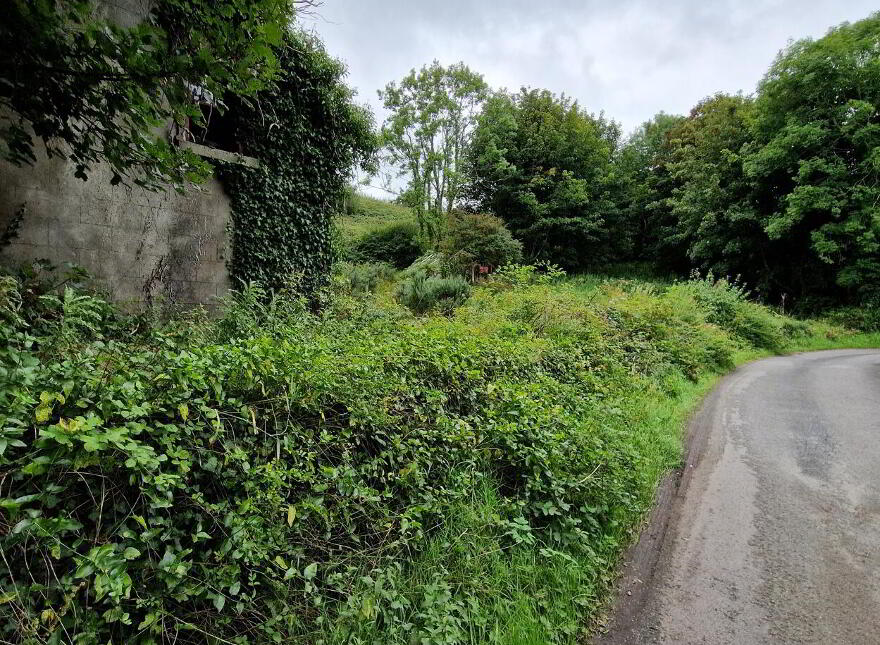 "The Hollow", Rossnowlagh, Rossnowlagh