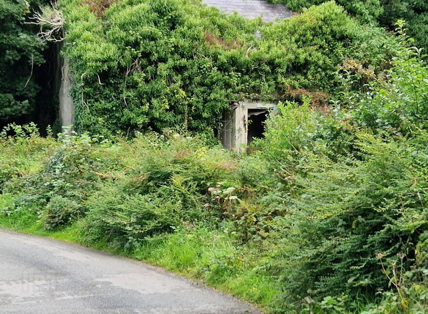 "The Hollow", Rossnowlagh, Rossnowlagh