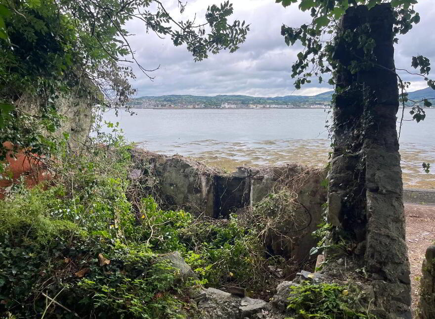 Shore Road, Omeath, A91PN0F