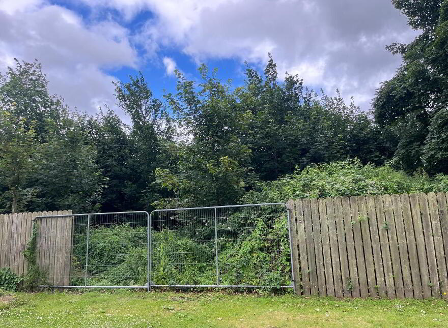 Shore Road, Omeath, A91PN0F