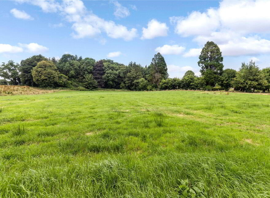 Site (S, P P) At, Cavan