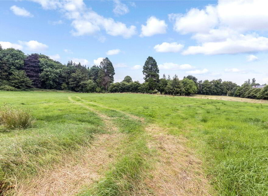 Site (S, P P) At, Cavan