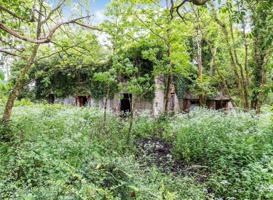 Portaliff House, Portaliffe, Killeshandra