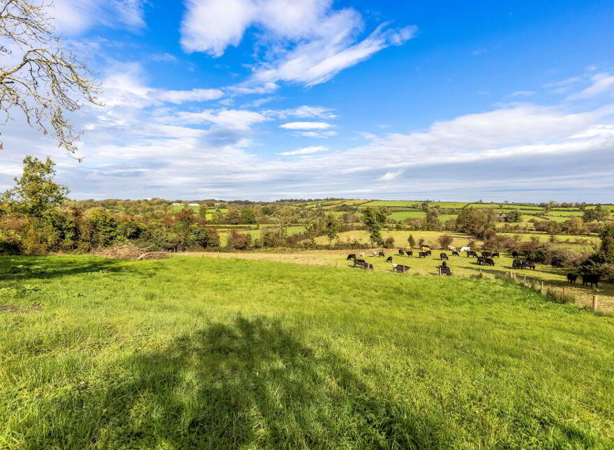 Aghacashel, Ballyjamesduff