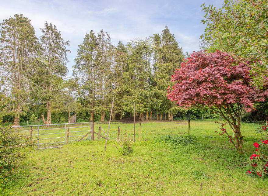 55 Draperstown Road, Desertmartin, Magherafelt, BT45 5ND