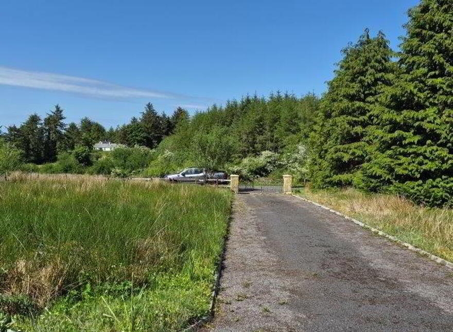 Killavoggy, Beagh, Beagh, F91EF88