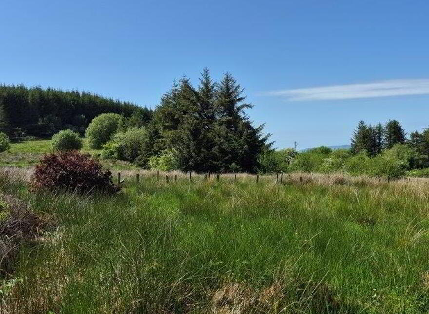 Killavoggy, Beagh, Beagh, F91EF88