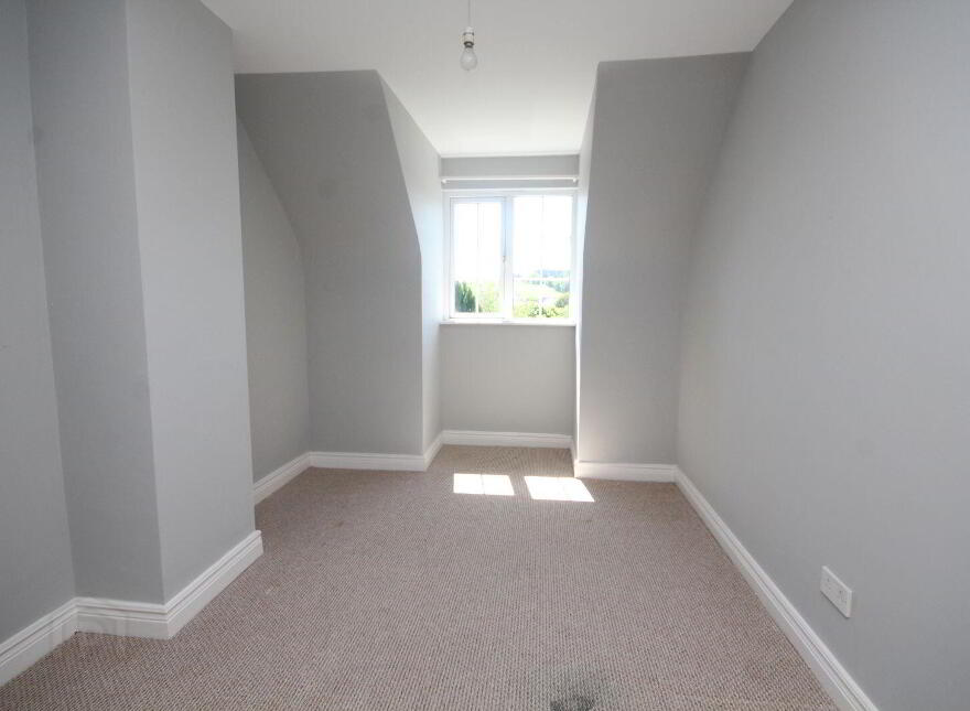 The Gully, Old Chapel, Bandon, P72W773