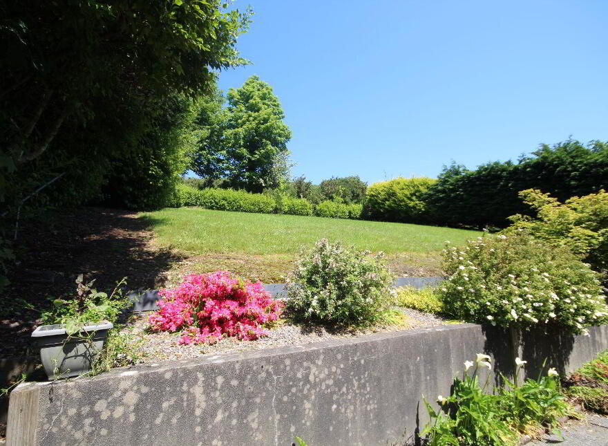 The Gully, Old Chapel, Bandon, P72W773
