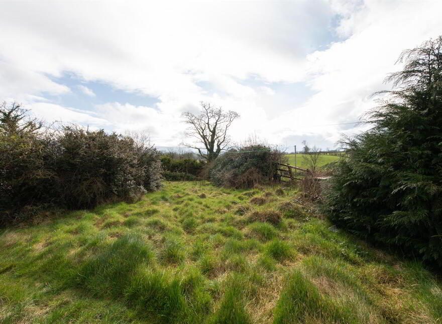 Rose Cottage, 49 Castlewellan Road, Rathfriland, BT34 5EL