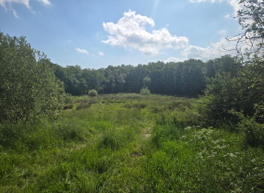 BUILDING SITE WITH FPP, Dorney Bridge Road, Ballinmallard, BT94 2DR