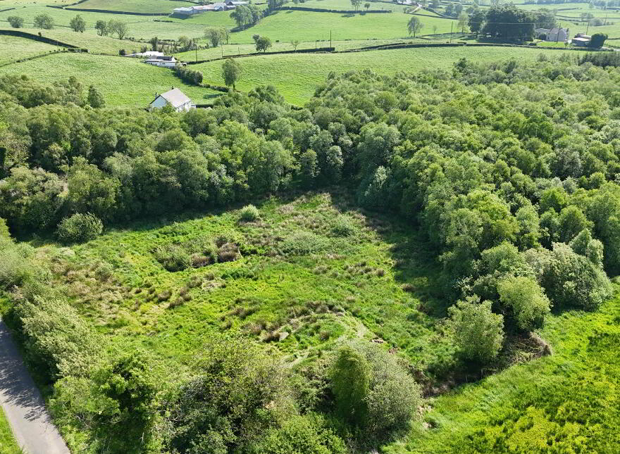 BUILDING SITE WITH FPP, Dorney Bridge Road, Ballinmallard, BT94 2DR
