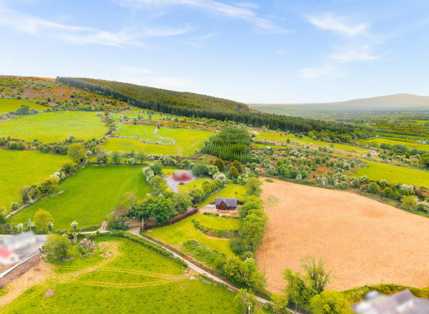 Killoughternane, Idrone East, Borris, R95CK80