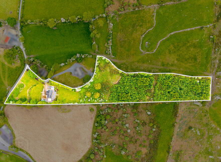 Killoughternane, Idrone East, Borris, R95CK80