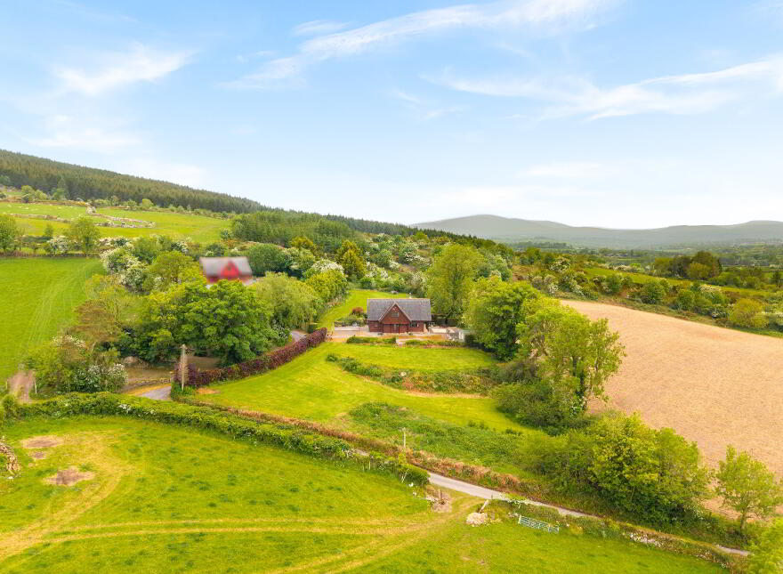 Killoughternane, Idrone East, Borris, R95CK80