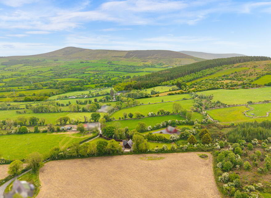 Killoughternane, Idrone East, Borris, R95CK80