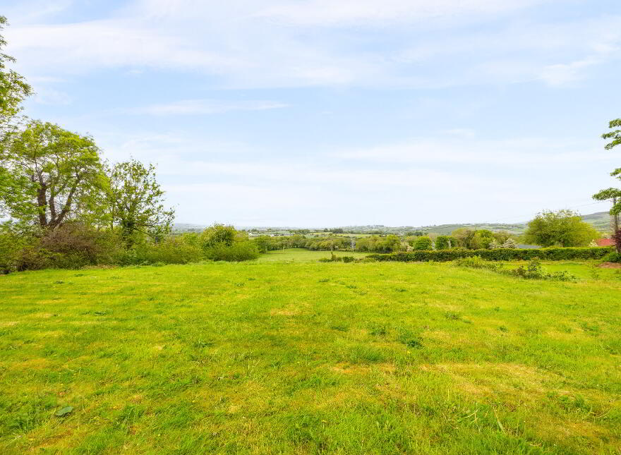 Killoughternane, Idrone East, Borris, R95CK80