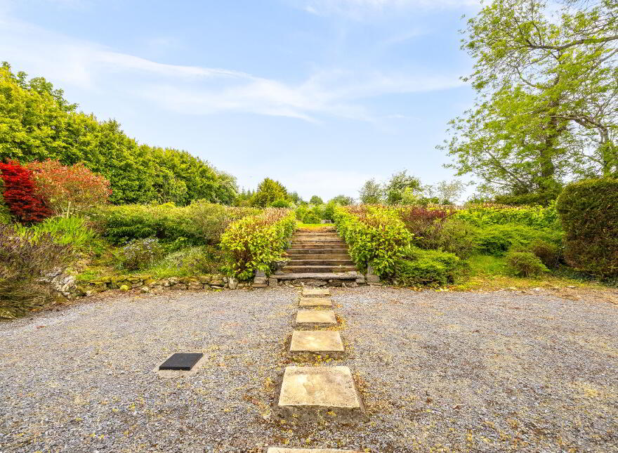 Killoughternane, Idrone East, Borris, R95CK80
