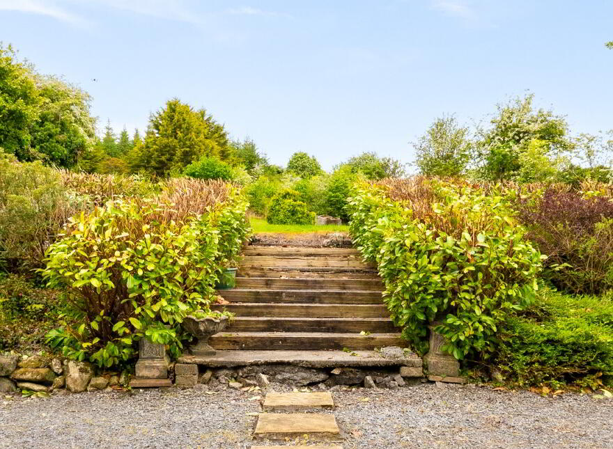 Killoughternane, Idrone East, Borris, R95CK80