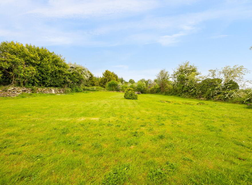 Killoughternane, Idrone East, Borris, R95CK80