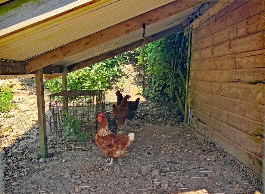 Beatrick, Maryborough, Timoleague, P72CD88