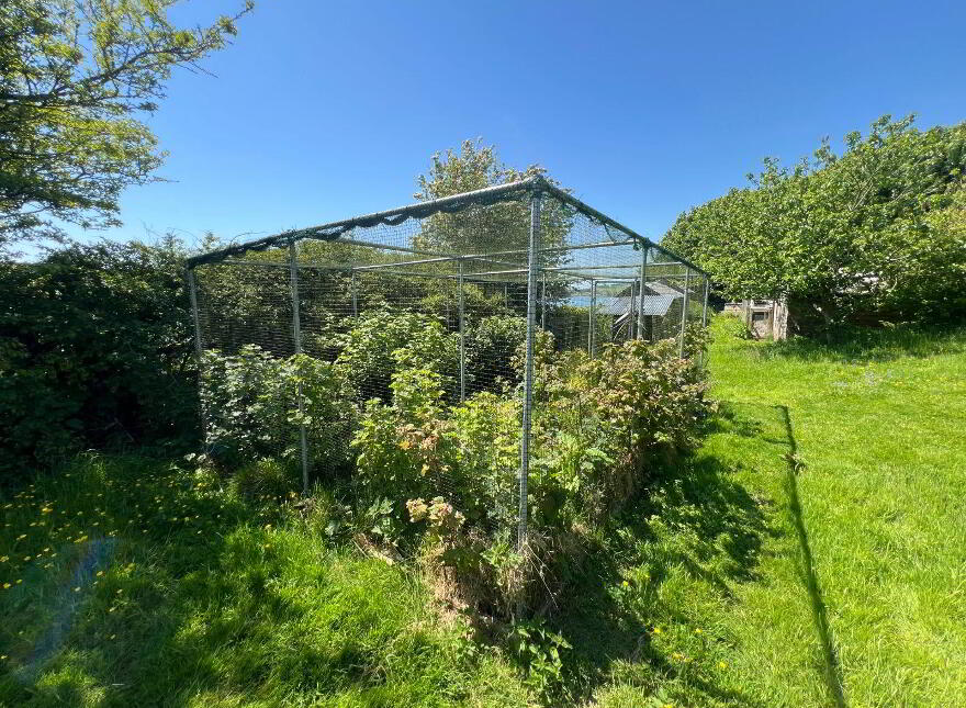 Beatrick, Maryborough, Timoleague, P72CD88