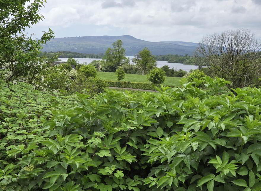 36 Lattone Road, Belcoo West, BT93 5AS