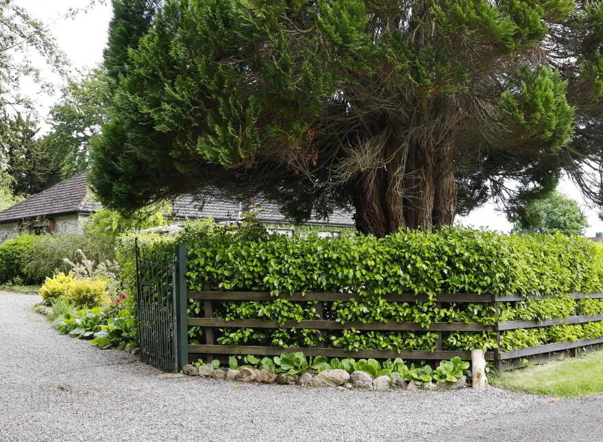 Skehana, Coolbawn, Nenagh, E45TX48