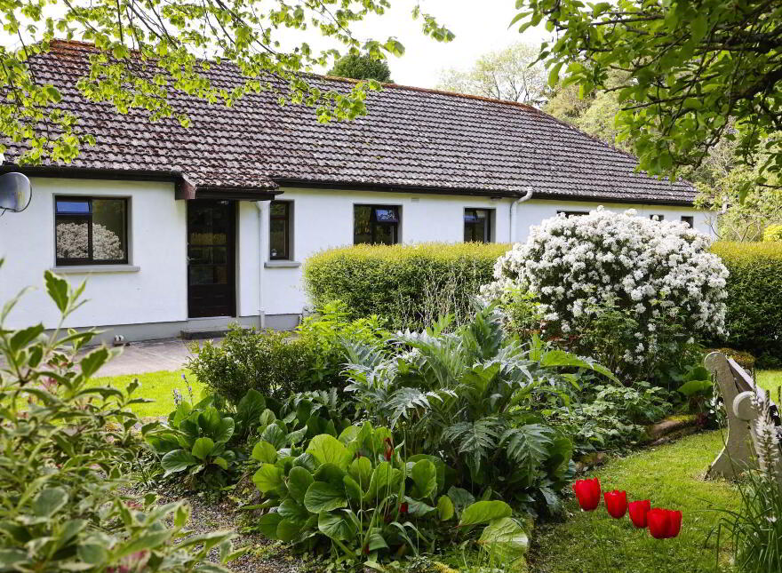 Skehana, Coolbawn, Nenagh, E45TX48