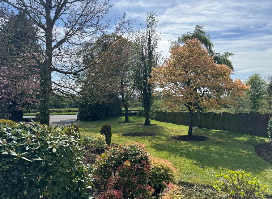 137 Drum Road, Cookstown, BT80 9DN
