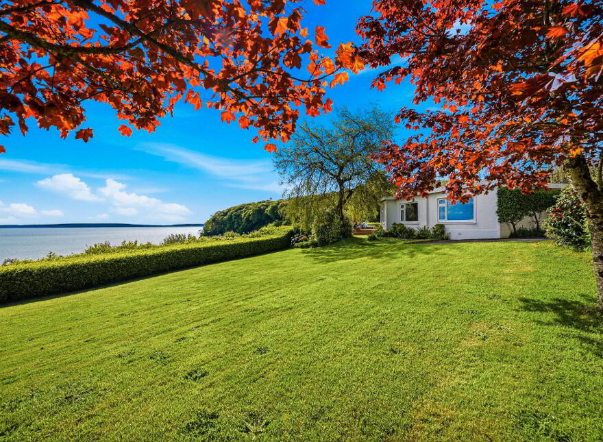 Badger House, Knockavelish, Woodstown, X91YD99
