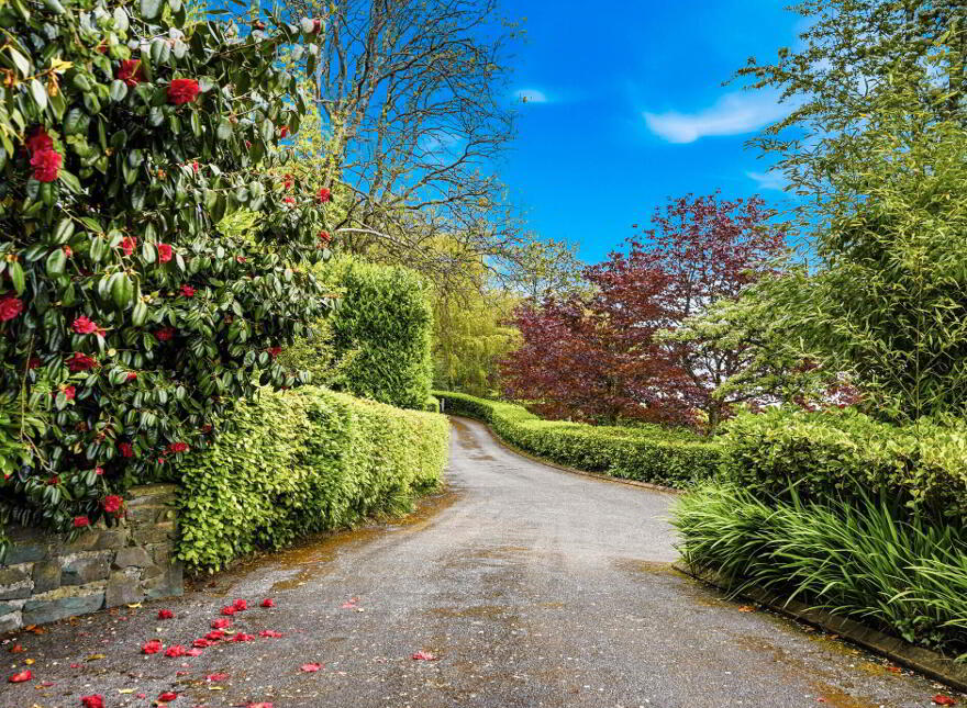 Badger House, Knockavelish, Woodstown, X91YD99