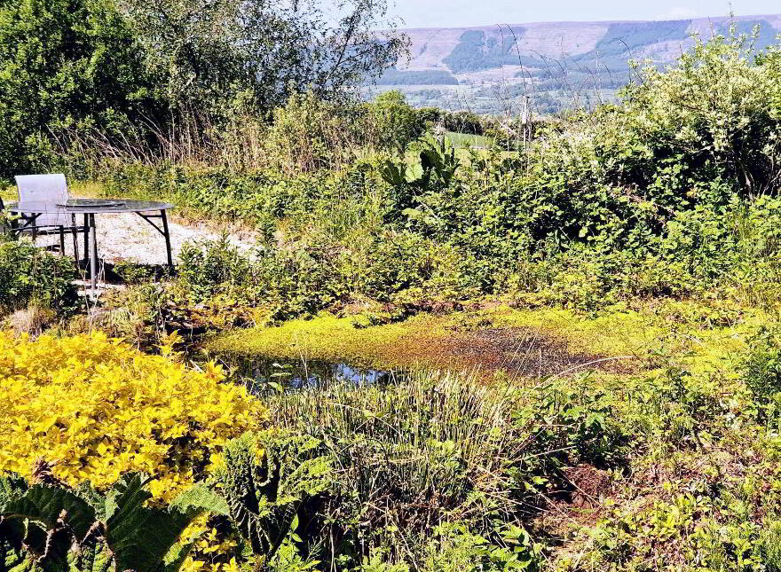 The Rock House, Gortnalibbert, Manorhamilton, Glenboy, F91CXC7