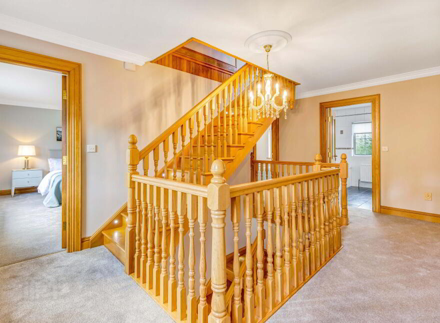 Corbeg, Glaslough Rd, Corvally, H18V627