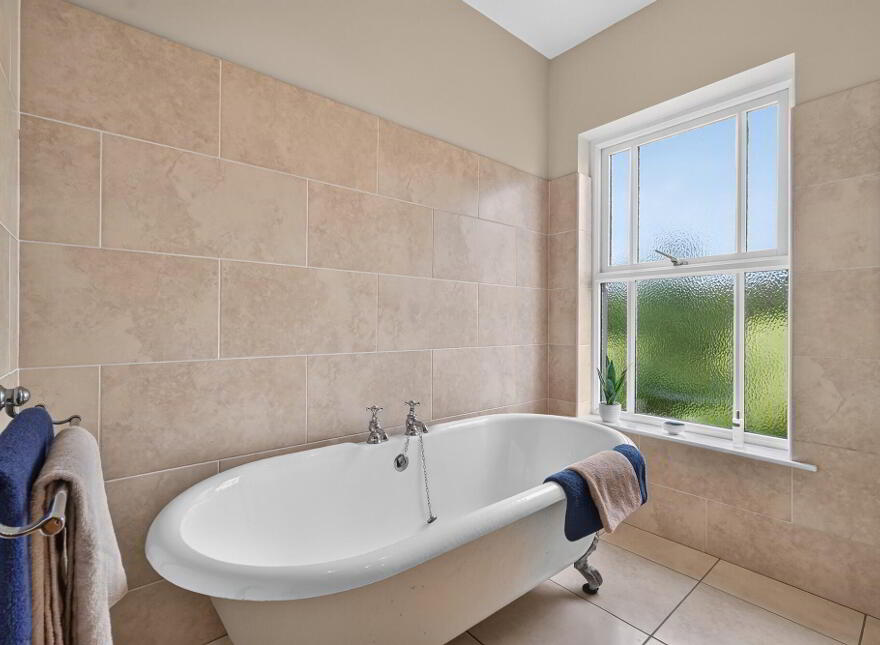 21 Ballynacoy Road, Lisburn, BT28 3XW