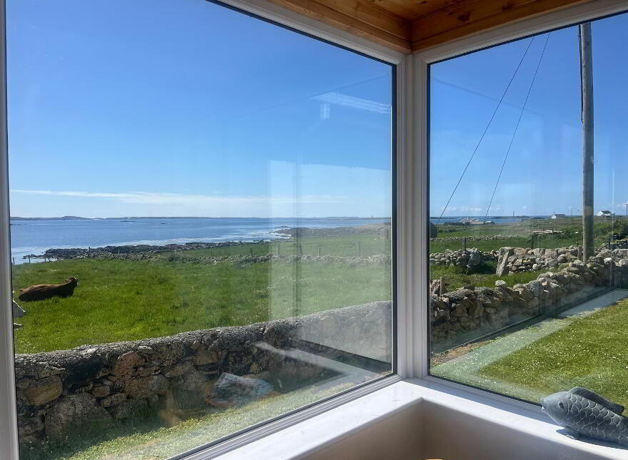 Turbot Island, Clifden, H71RX59