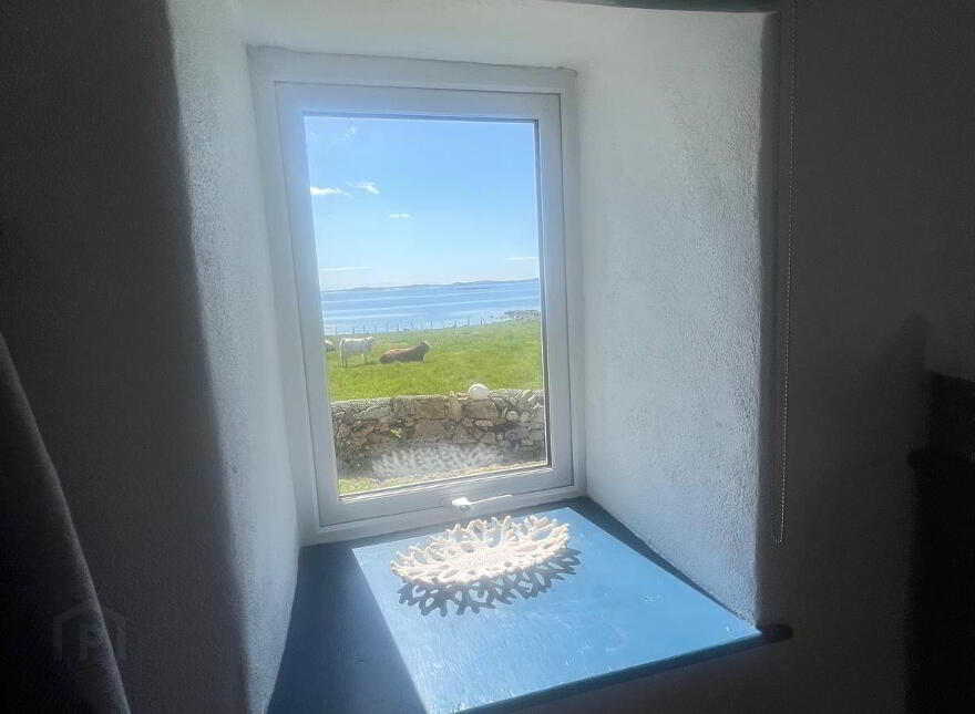 Turbot Island, Clifden, H71RX59