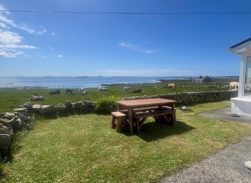 Turbot Island, Clifden, H71RX59