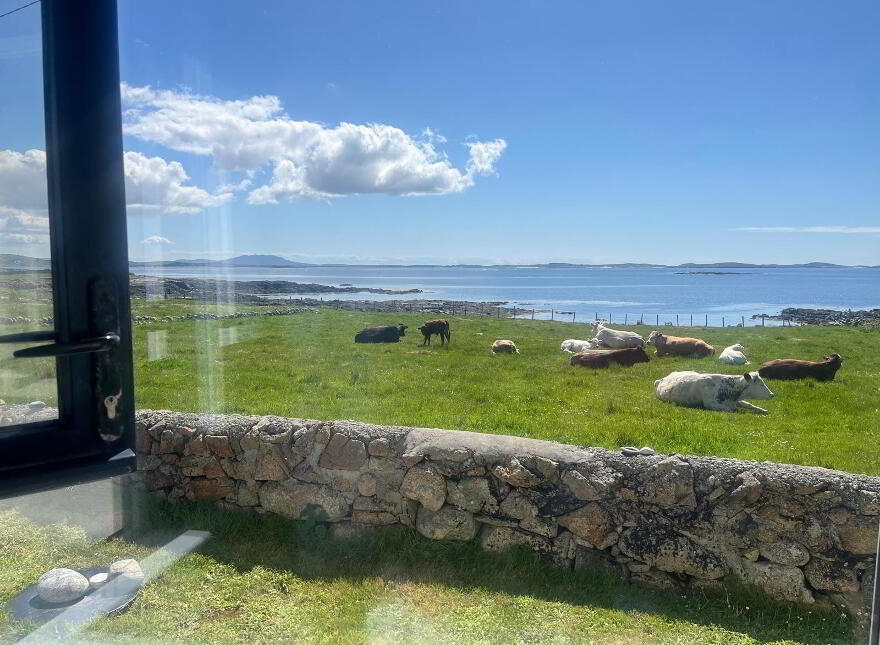 Turbot Island, Clifden, H71RX59