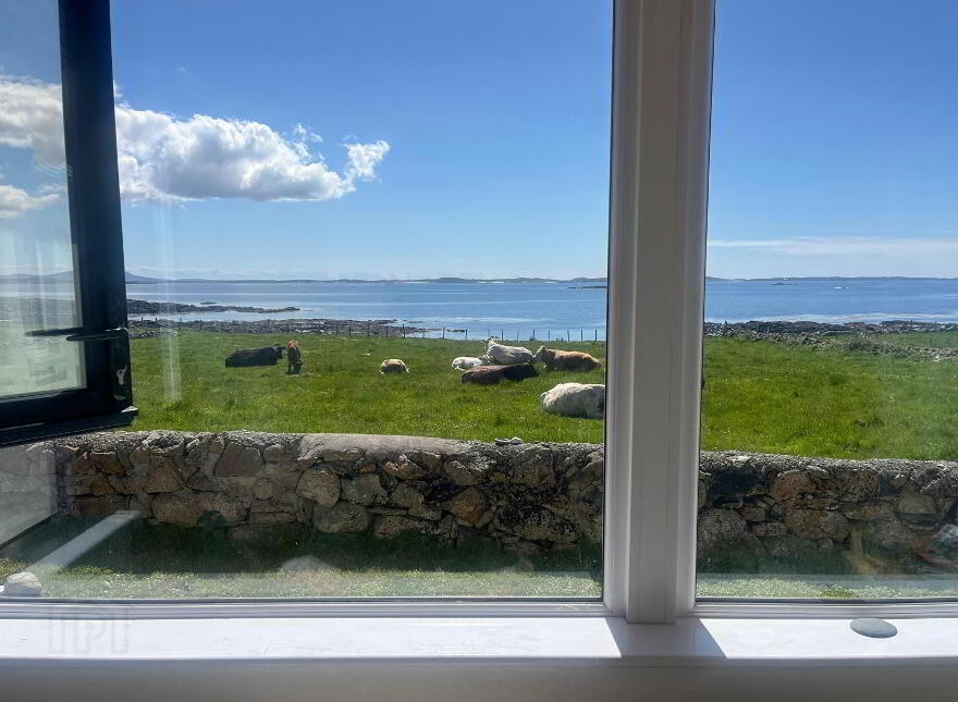 Turbot Island, Clifden, H71RX59