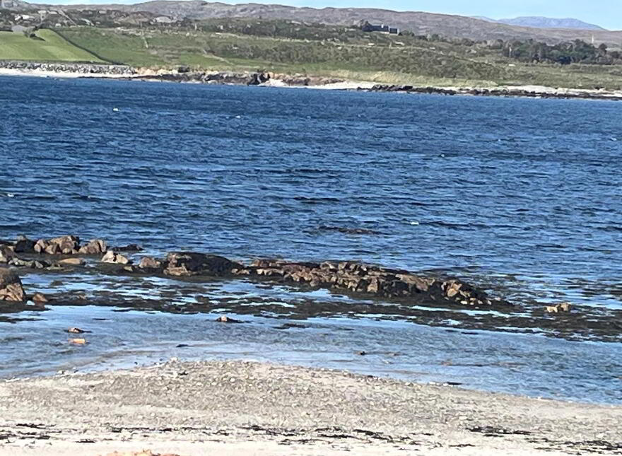 Turbot Island, Clifden, H71RX59