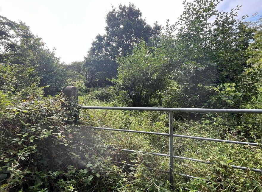 North, Corbally, Glanmire