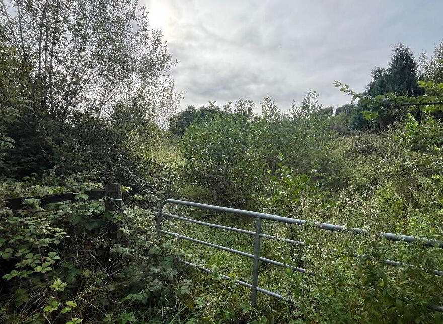 North, Corbally, Glanmire
